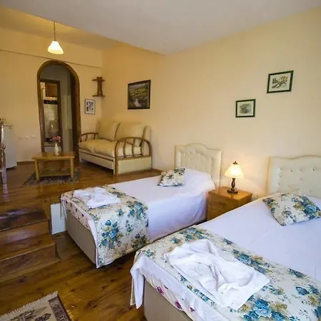 Hotel Kleo 3*