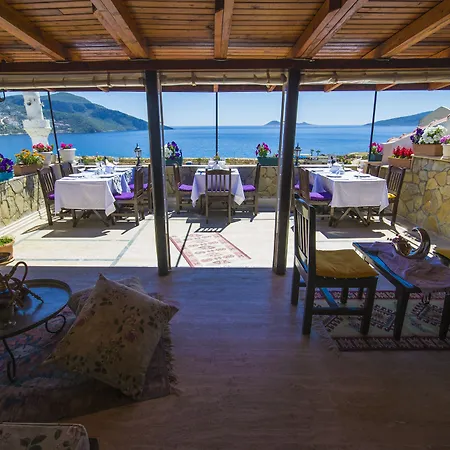 Hotel Kleo 3*