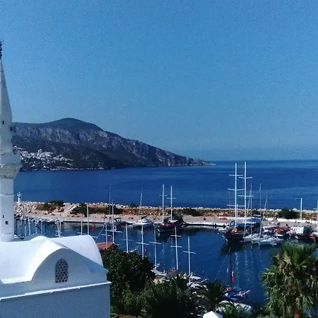 Kleo Kalkan