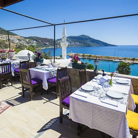 Hotel Kleo 3*